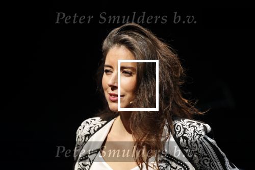 Leiden 14 januari 2020
Premiere show Iris Hond in de Leidse Schouwburg.