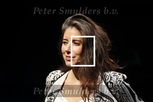 Leiden 14 januari 2020
Premiere show Iris Hond in de Leidse Schouwburg.