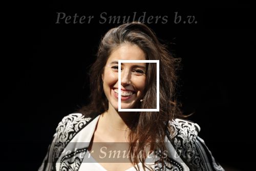 Leiden 14 januari 2020
Premiere show Iris Hond in de Leidse Schouwburg.