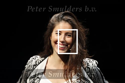 Leiden 14 januari 2020
Premiere show Iris Hond in de Leidse Schouwburg.
