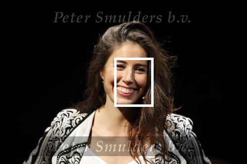 Leiden 14 januari 2020
Premiere show Iris Hond in de Leidse Schouwburg.