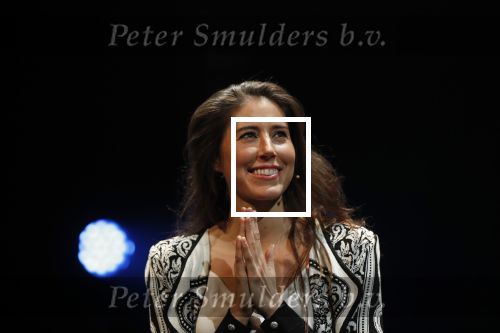 Leiden 14 januari 2020
Premiere show Iris Hond in de Leidse Schouwburg.