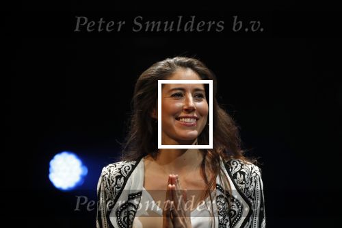Leiden 14 januari 2020
Premiere show Iris Hond in de Leidse Schouwburg.