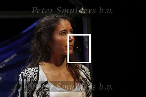 Leiden 14 januari 2020
Premiere show Iris Hond in de Leidse Schouwburg.