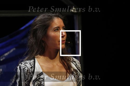 Leiden 14 januari 2020
Premiere show Iris Hond in de Leidse Schouwburg.