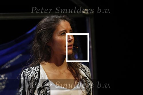 Leiden 14 januari 2020
Premiere show Iris Hond in de Leidse Schouwburg.