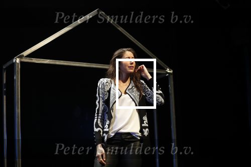 Leiden 14 januari 2020
Premiere show Iris Hond in de Leidse Schouwburg.