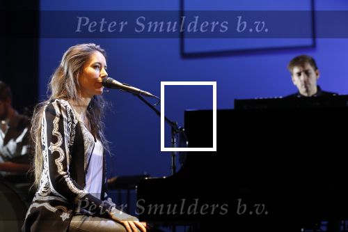 Leiden 14 januari 2020
Premiere show Iris Hond in de Leidse Schouwburg.