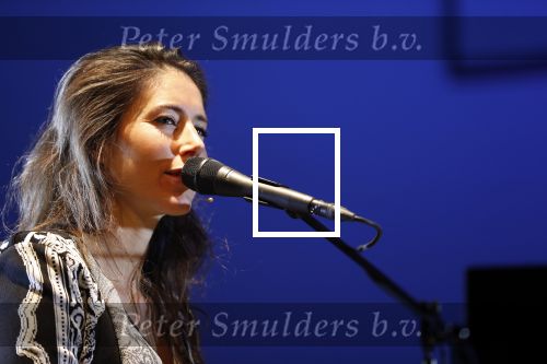 Leiden 14 januari 2020
Premiere show Iris Hond in de Leidse Schouwburg.