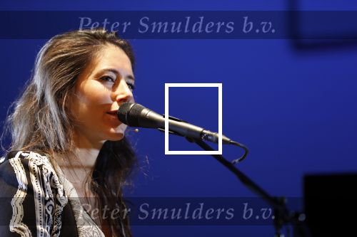 Leiden 14 januari 2020
Premiere show Iris Hond in de Leidse Schouwburg.