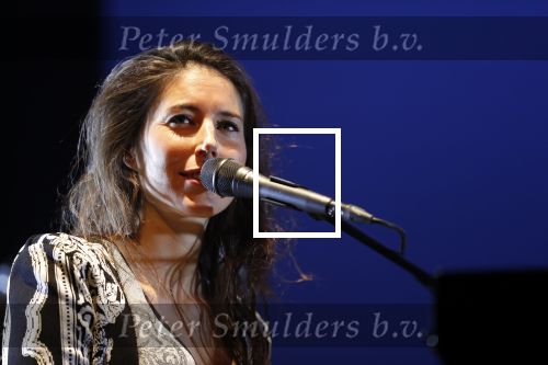 Leiden 14 januari 2020
Premiere show Iris Hond in de Leidse Schouwburg.