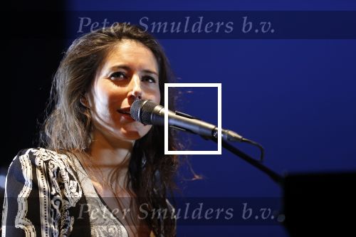 Leiden 14 januari 2020
Premiere show Iris Hond in de Leidse Schouwburg.