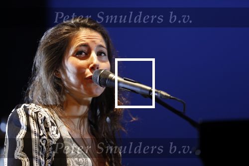 Leiden 14 januari 2020
Premiere show Iris Hond in de Leidse Schouwburg.