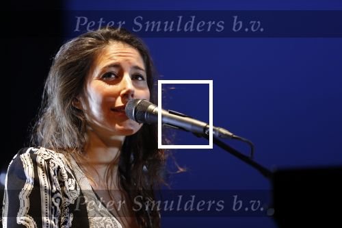 Leiden 14 januari 2020
Premiere show Iris Hond in de Leidse Schouwburg.