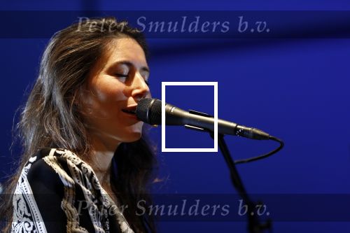 Leiden 14 januari 2020
Premiere show Iris Hond in de Leidse Schouwburg.