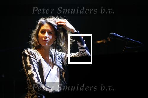 Leiden 14 januari 2020
Premiere show Iris Hond in de Leidse Schouwburg.
