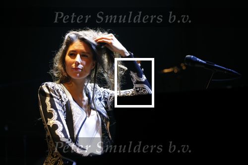 Leiden 14 januari 2020
Premiere show Iris Hond in de Leidse Schouwburg.
