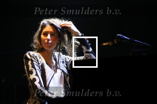 Leiden 14 januari 2020
Premiere show Iris Hond in de Leidse Schouwburg.