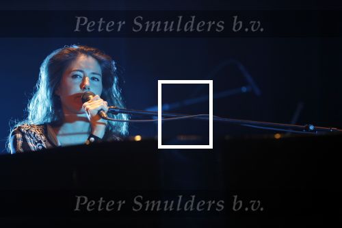 Leiden 14 januari 2020
Premiere show Iris Hond in de Leidse Schouwburg.