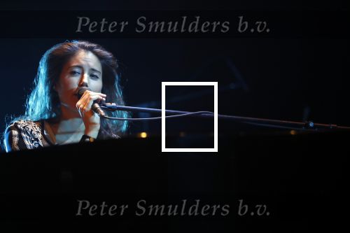 Leiden 14 januari 2020
Premiere show Iris Hond in de Leidse Schouwburg.