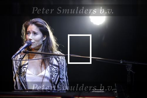 Leiden 14 januari 2020
Premiere show Iris Hond in de Leidse Schouwburg.