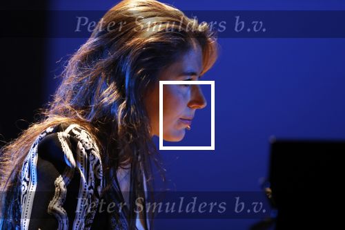 Leiden 14 januari 2020
Premiere show Iris Hond in de Leidse Schouwburg.
