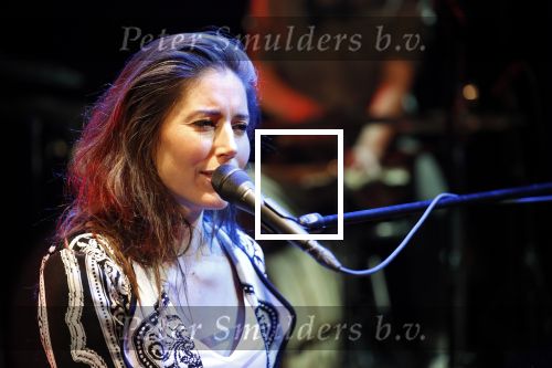 Leiden 14 januari 2020
Premiere show Iris Hond in de Leidse Schouwburg.