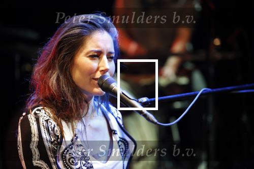 Leiden 14 januari 2020
Premiere show Iris Hond in de Leidse Schouwburg.