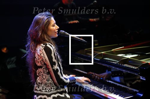 Leiden 14 januari 2020
Premiere show Iris Hond in de Leidse Schouwburg.