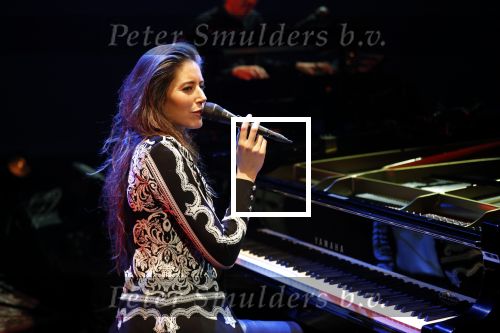 Leiden 14 januari 2020
Premiere show Iris Hond in de Leidse Schouwburg.