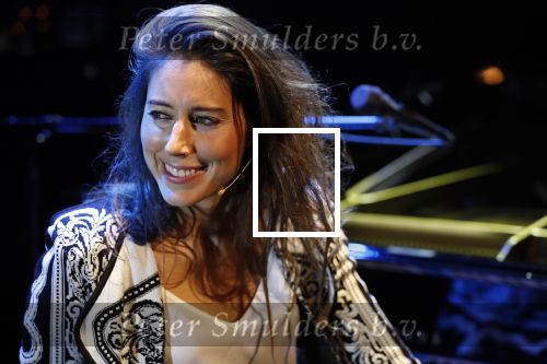 Leiden 14 januari 2020
Premiere show Iris Hond in de Leidse Schouwburg.