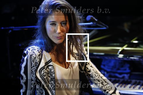 Leiden 14 januari 2020
Premiere show Iris Hond in de Leidse Schouwburg.