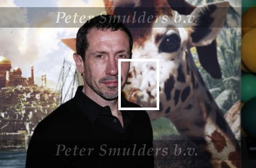 Amsterdam 12 januari 2020
Premiere Dolittle in pathe Arena. Jacob Derwig met kinderen en zijn vrouw Kim v Kooten