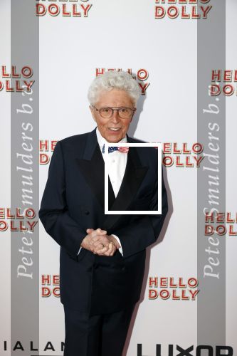 Rotterdam 8 maart 2020
Premiere Hello Dolly in het nieuwe Luxor. Jacques D Ancona