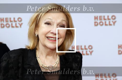 Rotterdam 8 maart 2020
Premiere Hello Dolly in het nieuwe Luxor. Janny v d Heijden