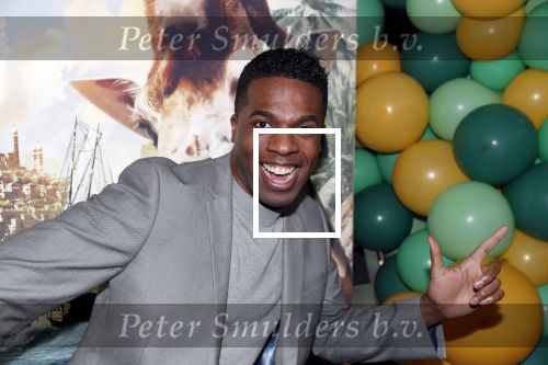 Amsterdam 12 januari 2020
Premiere Dolittle in pathe Arena. Jeremy Sno