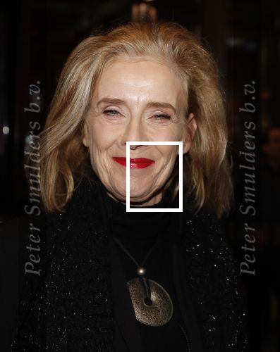 Amsterdam 12 februari 2020
Premiere Lazarus in het nieuwe deLaMar theater. Jette v d meij met een vriendin