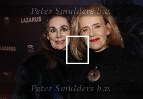 Amsterdam 12 februari 2020
Premiere Lazarus in het nieuwe deLaMar theater. Jette v d meij met een vriendin