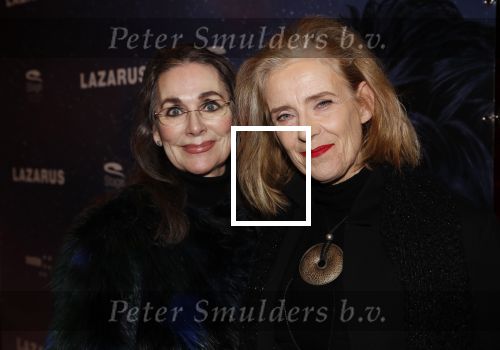 Amsterdam 12 februari 2020
Premiere Lazarus in het nieuwe deLaMar theater. Jette v d meij met een vriendin