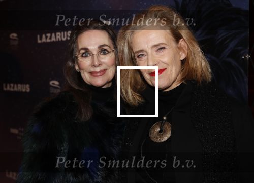 Amsterdam 12 februari 2020
Premiere Lazarus in het nieuwe deLaMar theater. Jette v d meij met een vriendin