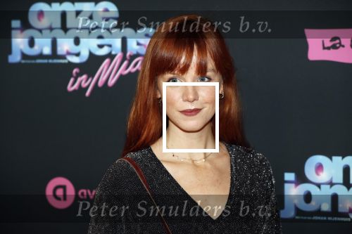 Amsterdam 27 januari 2020
Premiere Onze Jongens in Miami in Tuschinski. Jolijn Henneman met