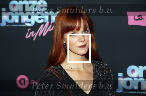 Amsterdam 27 januari 2020
Premiere Onze Jongens in Miami in Tuschinski. Jolijn Henneman met