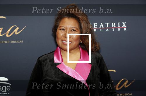 Utrecht 9 februari 2020
Premiere Tina Turner musical in het Beatrix Theater.
Justine Pelmelay