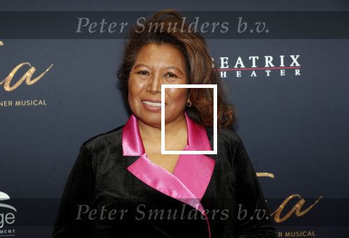 Utrecht 9 februari 2020
Premiere Tina Turner musical in het Beatrix Theater.
Justine Pelmelay