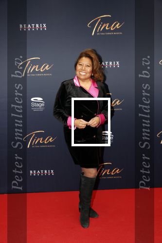 Utrecht 9 februari 2020
Premiere Tina Turner musical in het Beatrix Theater.
Justine Pelmelay