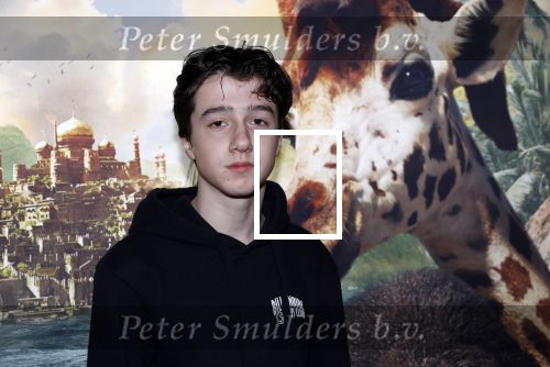 Amsterdam 12 januari 2020
Premiere Dolittle in pathe Arena. Jacob Derwig met kinderen en zijn vrouw Kim v Kooten