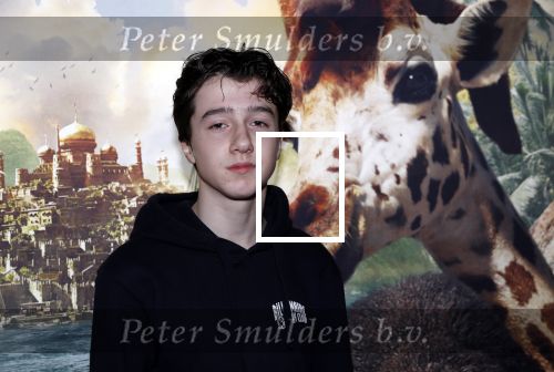 Amsterdam 12 januari 2020
Premiere Dolittle in pathe Arena. Jacob Derwig met kinderen en zijn vrouw Kim v Kooten