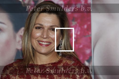 Amsterdam 6 februari 2020
Premiere Frida van het nationaal ballet in de Stopera. Koningin Maxima kwam ook over de rode loper .