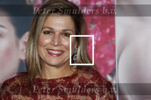 Amsterdam 6 februari 2020
Premiere Frida van het nationaal ballet in de Stopera. Koningin Maxima kwam ook over de rode loper .
