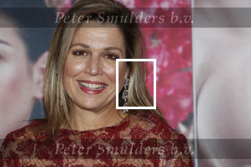 Amsterdam 6 februari 2020
Premiere Frida van het nationaal ballet in de Stopera. Koningin Maxima kwam ook over de rode loper .